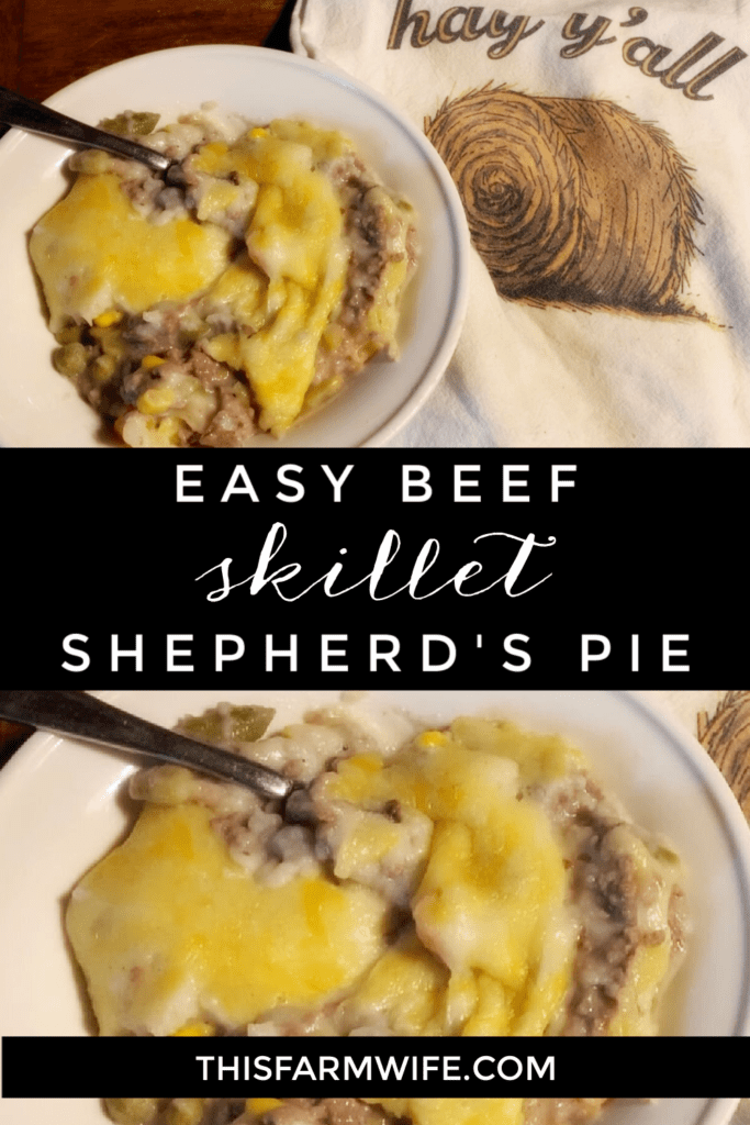 beef shepherds pie recipe this farm wife