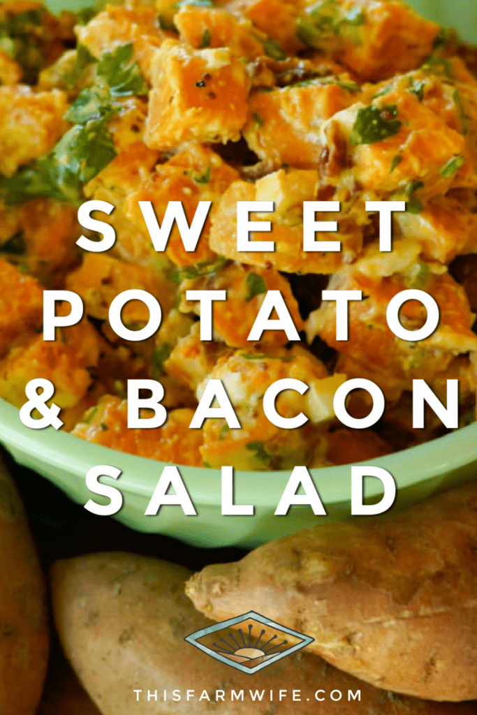 sweet potato and bacon salad this farm wife recipe